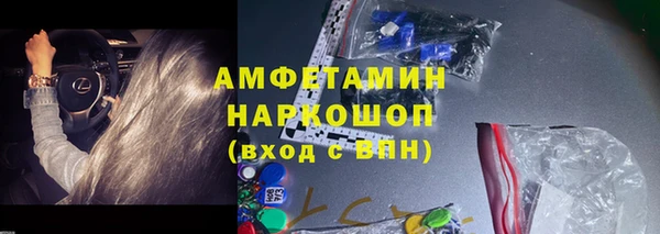 гашик Гусь-Хрустальный