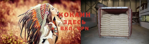 гашик Гусь-Хрустальный
