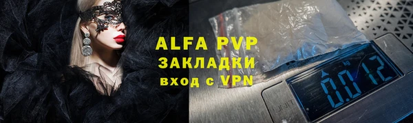 гашик Гусь-Хрустальный