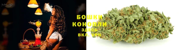 гашик Гусь-Хрустальный