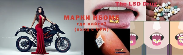 гашик Гусь-Хрустальный