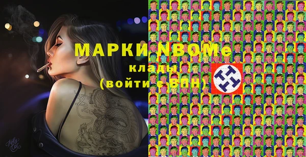гашик Гусь-Хрустальный