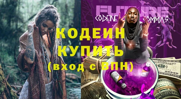 гашик Гусь-Хрустальный