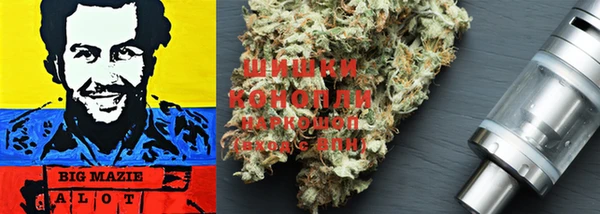 спайс Гусиноозёрск