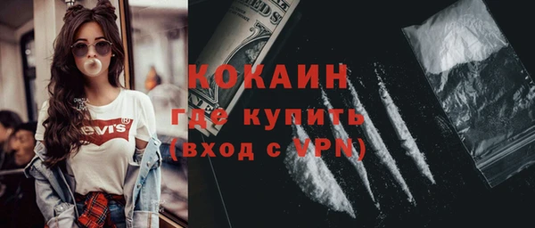 гашик Гусь-Хрустальный