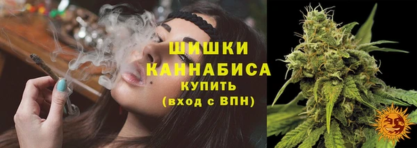 прущая мука Гусев